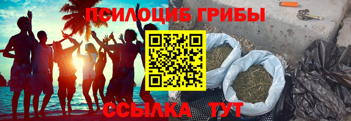 Курган  Галлюциногенные грибы MAGIC MUSHROOMS  Вход с VPN 