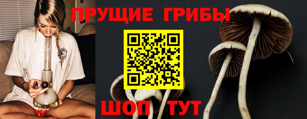 Галлюциногенные грибы мухоморы Курган